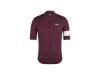 Rapha Trikot Rapha 25 Core Lightweight L Fudge/White Aly