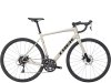 Trek Domane AL 2 61 Gloss Supernova