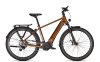 Kalkhoff ENDEAVOUR 5+ ADVANCE 58 29  10 goldbrown glossy Diamond