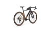 Focus ATLAS 8.0 51 28  24 Carbon raw glossy Diamond
