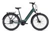 Kalkhoff IMAGE 3 EXCITE BLX 53 28   techgreen glossy Wave