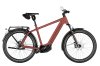 Riese & Müller Charger5 Pinion HS Maroon