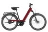 Riese & Müller Nevo5 Vario Ruby Red