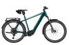 Riese & Müller Charger5 Touring Pro Pine