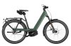 Riese & Müller Nevo5 Pinion HS Moss