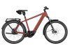 Riese & Müller Charger5 Vario Maroon