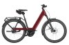 Riese & Müller Nevo5 Rohloff Ruby Red