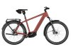 Riese & Müller Charger5 Pinion Maroon
