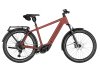 Riese & Müller Charger5 Touring Maroon