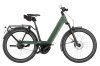 Riese & Müller Nevo5 Vario HS Moss